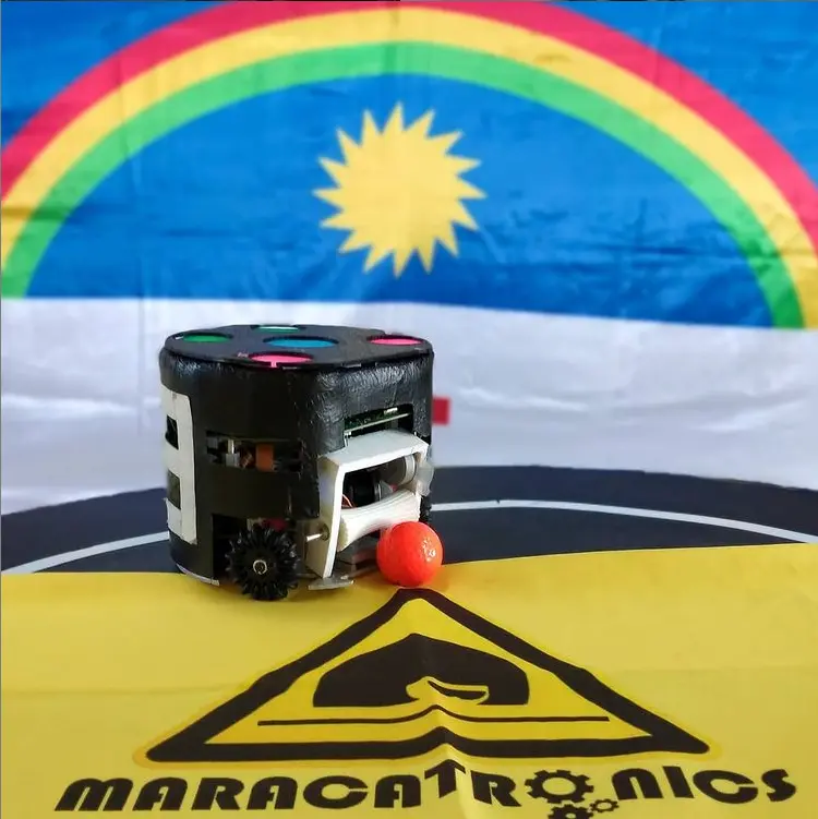 Maracatronics: Robotics Project